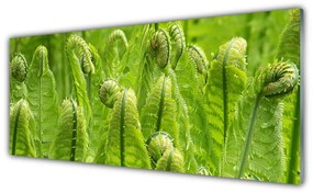 Obraz plexi Rastlina príroda 125x50 cm