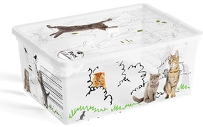 KIS C Box Style Pets Collection S, 11L