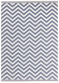 NORTHRUGS - Hanse Home koberce Kusový koberec Twin Supreme 103435 Palma blue creme – na von aj na doma - 160x230 cm