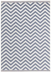 NORTHRUGS - Hanse Home koberce Kusový koberec Twin Supreme 103435 Palma blue creme – na von aj na doma - 120x170 cm