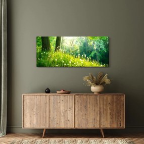 Obraz - Magická lúka plná púpav (120x50 cm)