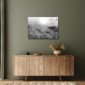Obraz - Jesenná lúka (70x50 cm)