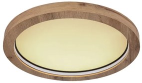 Globo 41374-24R - LED RGBW Stmievateľné stropné svietidlo BRANZA LED/24W/230V + DO