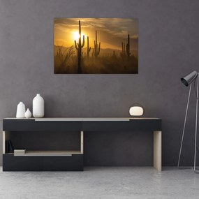 Obraz - Kaktusy Saguaro (90x60 cm)