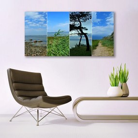 Obraz na akrylátovom skle Pláž strom príroda 120x60 cm