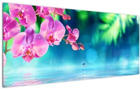 Obraz - Orchidea (120x50 cm)