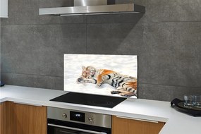 Nástenný panel  Tiger winter 100x50 cm