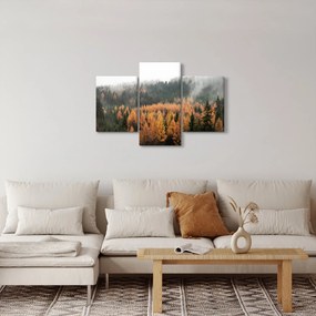 Obraz - Jesenný les (90x60 cm)