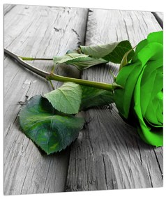 Obraz zelenej ruže (30x30 cm)