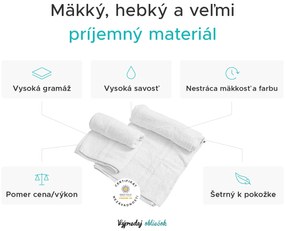 Uterák BASIC DUAL 50 x 100 cm modrý, 100% bavlna