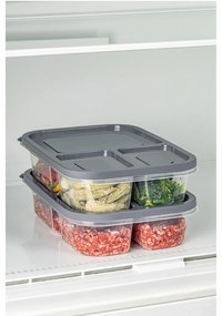 Sada 2 ks potravinových boxů LUY šedá