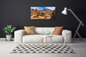 Obraz Canvas Hory rastliny skaly krajina 140x70 cm