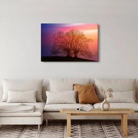 Obraz stromov v hmle (90x60 cm)