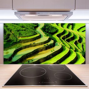 Sklenený obklad Do kuchyne Pole ryža les umenie 125x50 cm