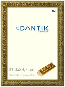 DANTIK rám na obraz 21x29,7 | Starozlatá s ornamentem (Sklo Čiré)