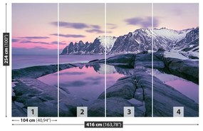 Fototapeta Vliesová Zimný fjord 250x104 cm