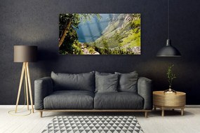 Obraz plexi Hora les príroda 120x60 cm