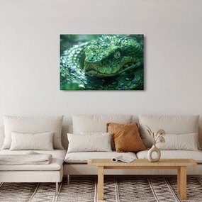 Obraz - Portrét hada (90x60 cm)