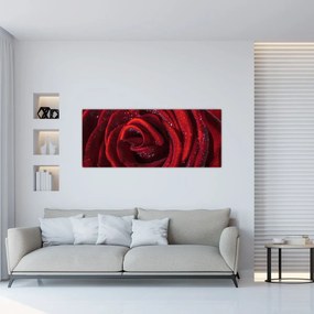 Obraz - Červená ruža s kvapkami rosy (120x50 cm)