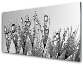 Skleneny obraz Abstrakcie rastlina príroda 140x70 cm