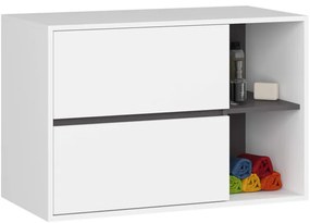 Skrinka pod umývadlo VAMI W90 2SZ biela ​​/ grafitová