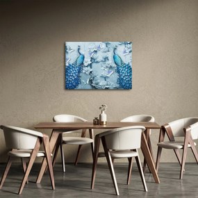Obraz pávov (70x50 cm)