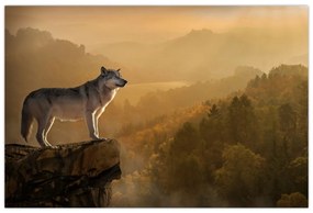 Obraz vlka na skale (90x60 cm)