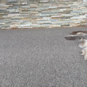 Vopi, Kusový koberec Nature NEW hnedá štvorec, 120x120, hnedá, kuchyňa