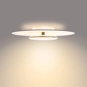 Philips- LED Stmievateľné stropné svietidlo GARNET SCENE SWITCH LED/40W/230V 2700K