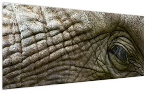 Obraz - Detailné fotografie starého slonieho oka (120x50 cm)