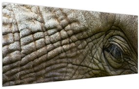 Obraz - Detailné fotografie starého slonieho oka (120x50 cm)