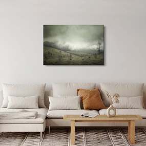 Obraz krajiny pred búrku (90x60 cm)