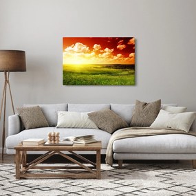 Obraz letnej lúky (90x60 cm)