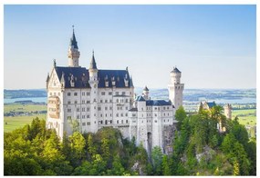 Fototapeta Vliesová Neuschwanstein 312x219 cm