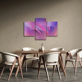 Obraz - Kvapka na kvete (90x60 cm)