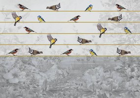 Fototapeta - Vtáky na zlatom povrázku (152,5x104 cm)