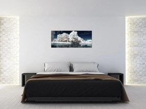 Obraz - Snehobiele stromy (120x50 cm)