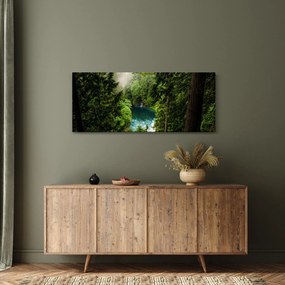 Obraz - Priezor medzi stromami (120x50 cm)