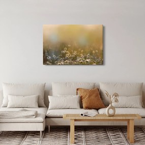 Obraz - Olejomaľba sedmokrások (90x60 cm)