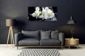 Obraz na akrylátovom skle Kvet kamene rastlina 100x50 cm