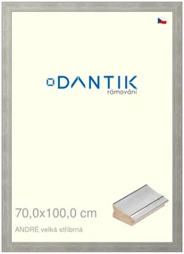 DANTIK rám na obraz 70x100 | ANDRÉ velká stříbrná (Plexi Čiré)