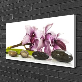 Obraz Canvas Kvet kamene rastlina 125x50 cm