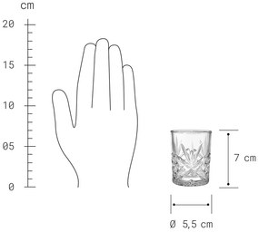 CRYSTAL CLUB Pohár 90 ml