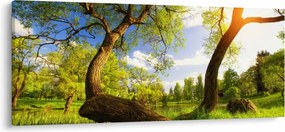 Obraz jarnej lúky (120x50 cm)