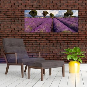Obraz - Levanduľové pole a hory (120x50 cm)