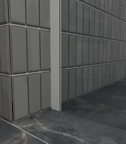 Erga Paris, sprchová zástena Walk-In 110x200 cm, 8mm šedé sklo, biely matný profil, ERG-V02-PARIS-110x200-GR-WH