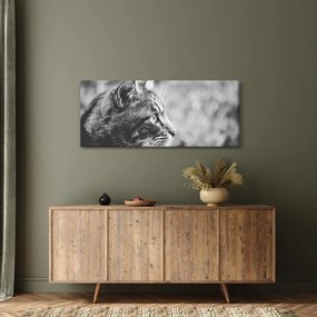 Obraz - Mačka (120x50 cm)