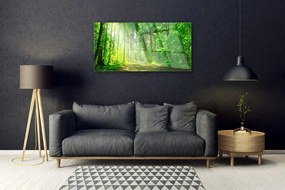 Obraz plexi Les cestička stromy príroda 100x50 cm