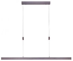 Paul Neuhaus 2568-24 - LED Stmievateľný luster na lanku ADRIANA LED/14W/230V