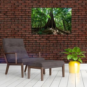 Obraz - Korene stromu (90x60 cm)
